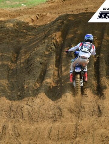 redbud mx
