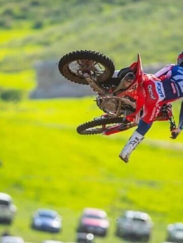 coty schock