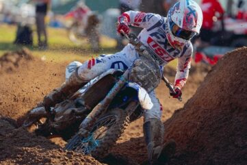 alex martin