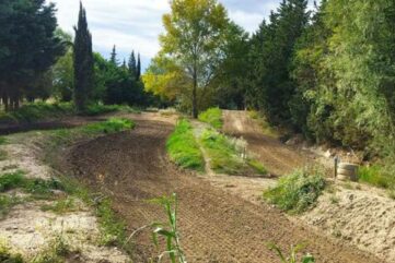 MX de cabannes