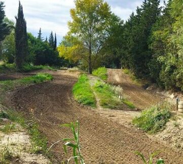 MX de cabannes