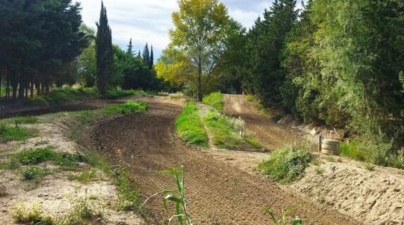 MX de cabannes