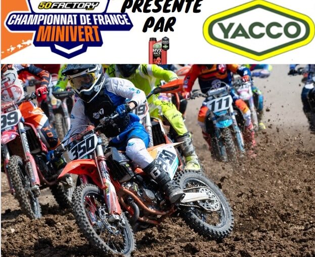 minivert à saint jean d'angély