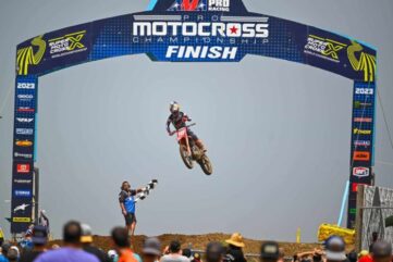 redbud