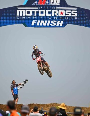 redbud