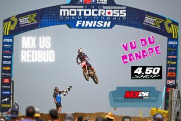 redbud