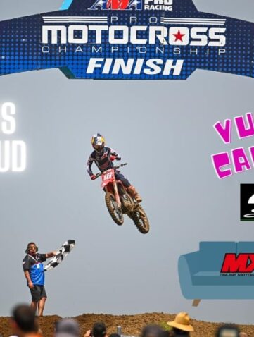 redbud