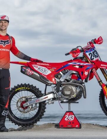 gajser