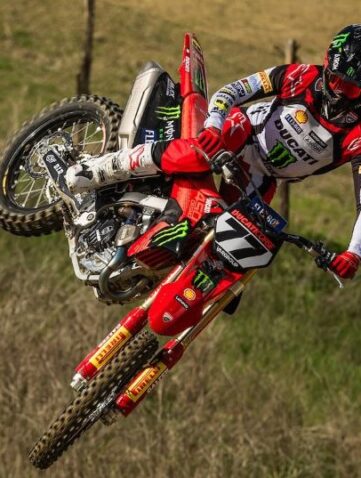 Desmo450