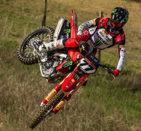 Desmo450