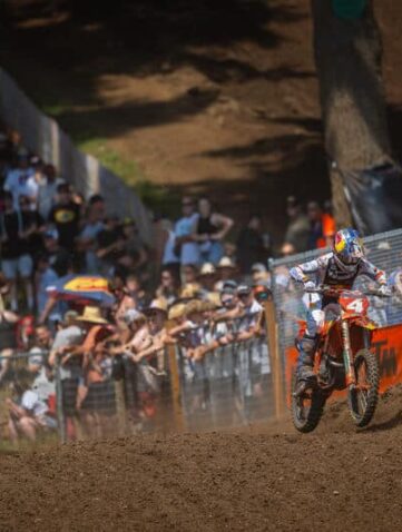 Unadilla