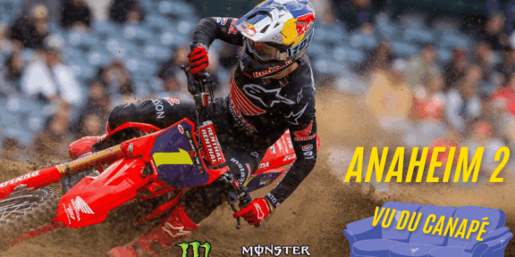 anaheim 2