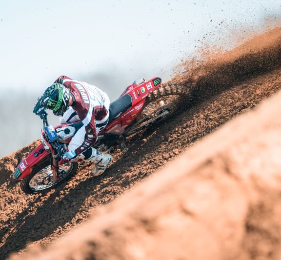 Desmo250 mx