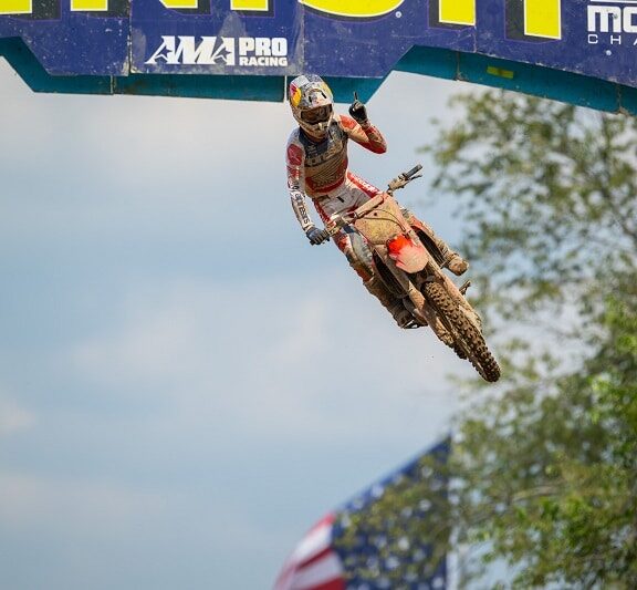 redbud