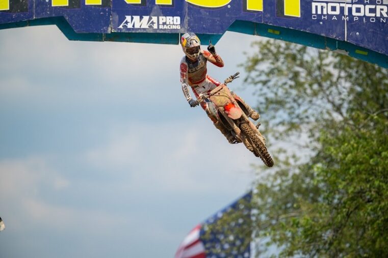 redbud