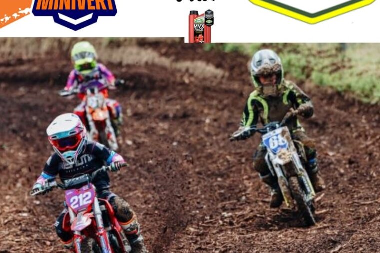 minivert andrézieux-bouthéon