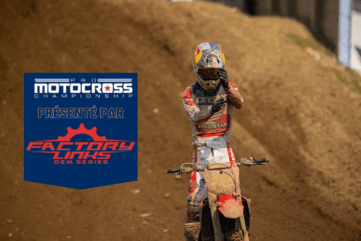 redbud