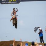 redbud