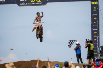 redbud