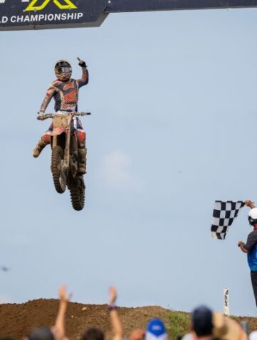 redbud