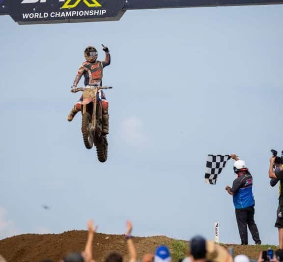 redbud