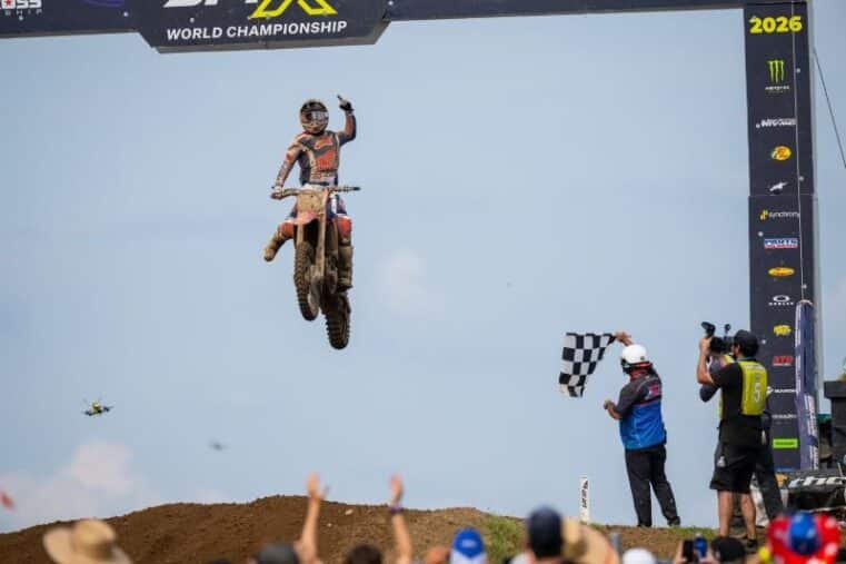 redbud