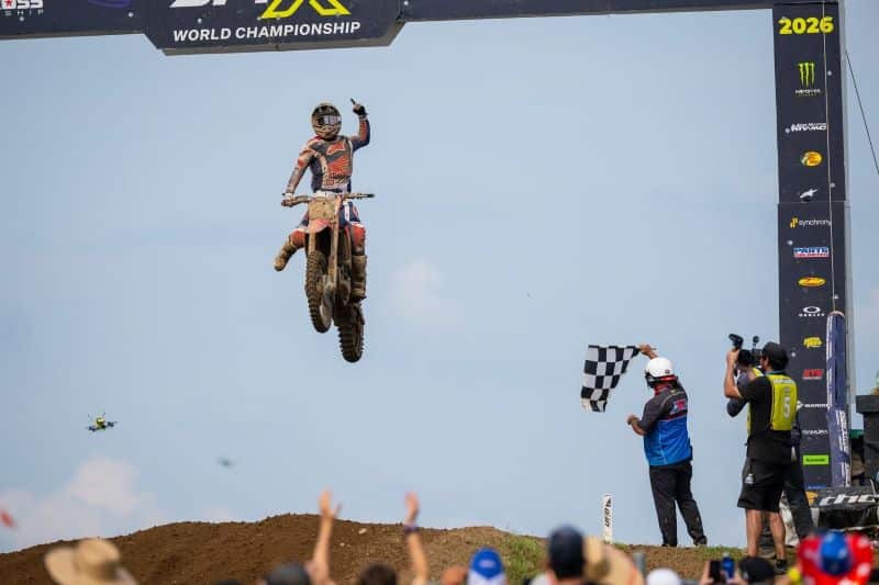 redbud