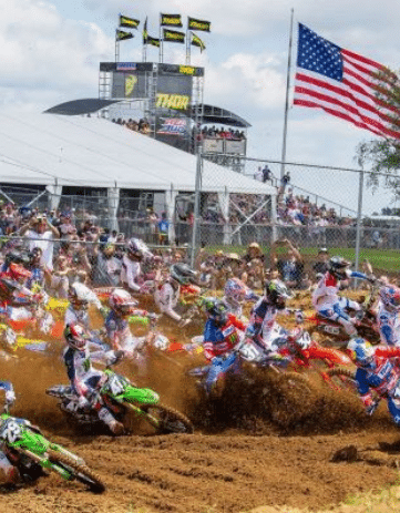 RedBud