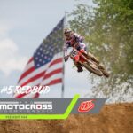 redbud