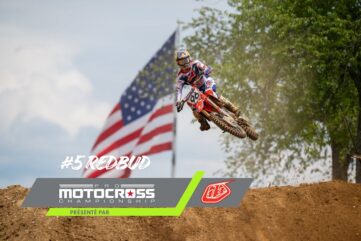 redbud