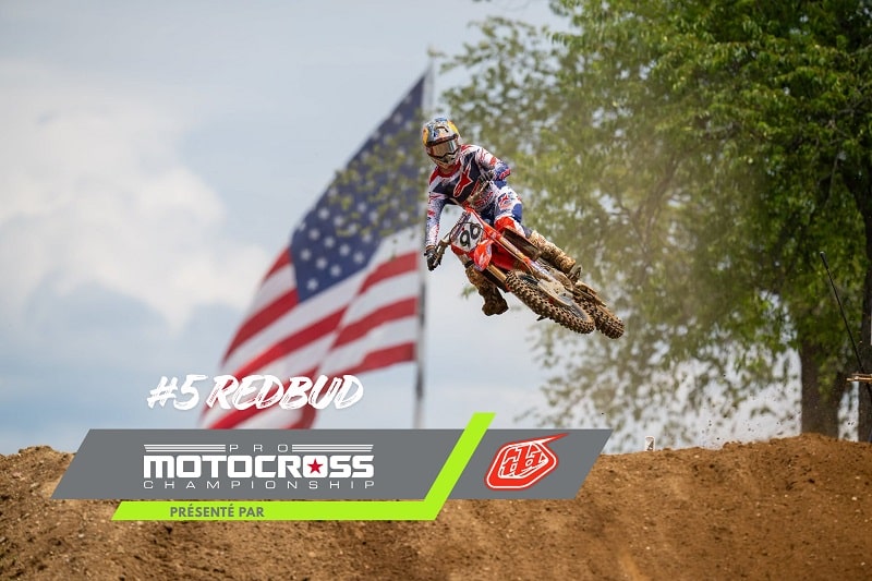 redbud