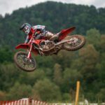 gajser