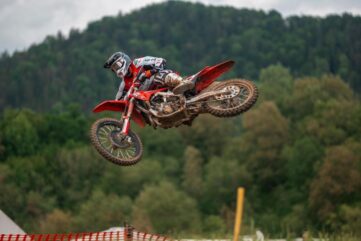 gajser