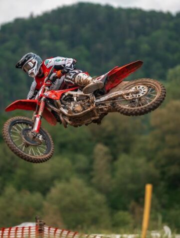 gajser