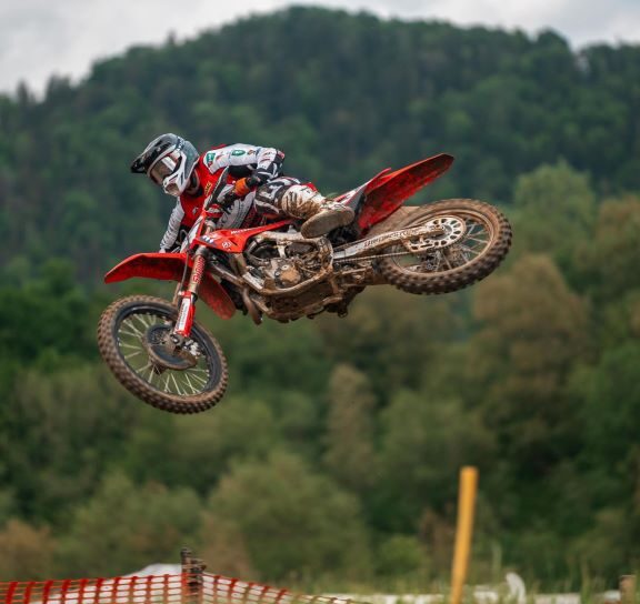 gajser