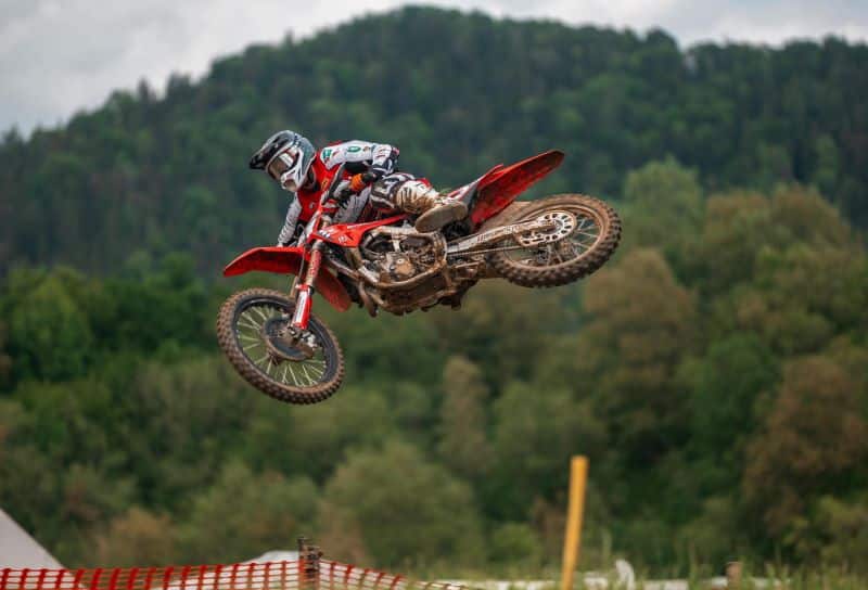 gajser