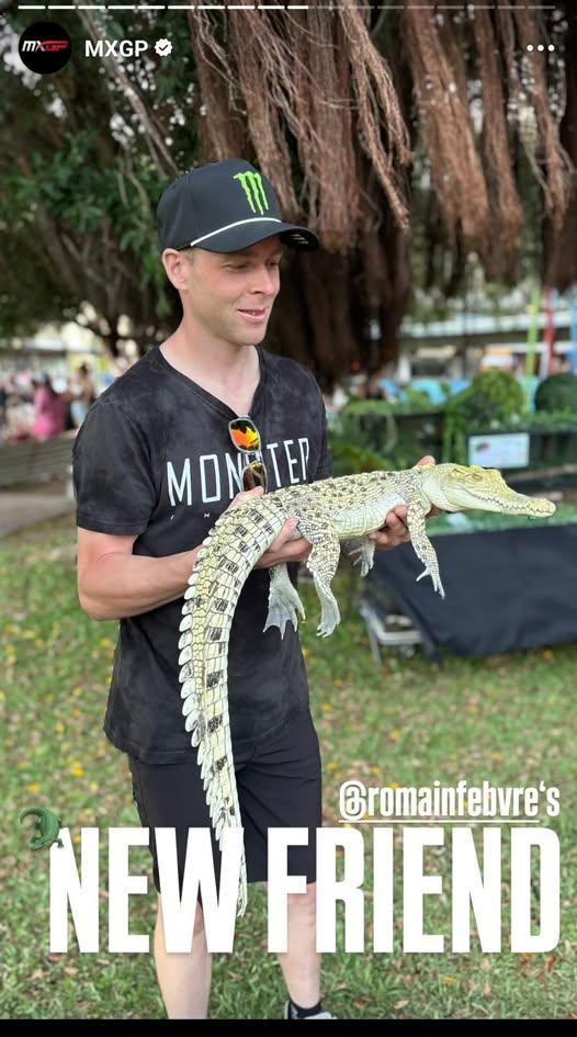 le croco s'est fait pécho par roro